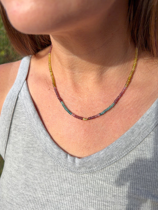 Multitourmaline Worry Fish Necklace 14k