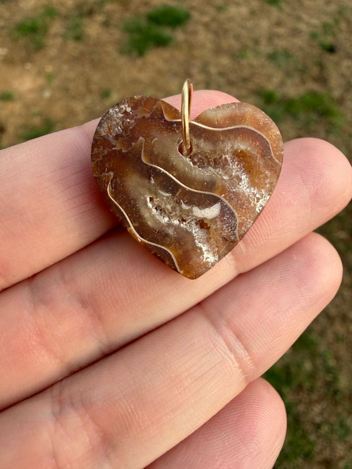 Robin - Rare Ancient Canadian Ammonite Fossil Heart Charm
