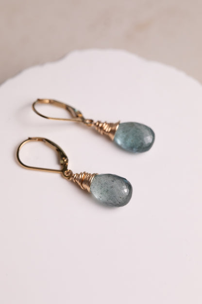 Moss Aquamarine Drop Earrings - Steely Blue