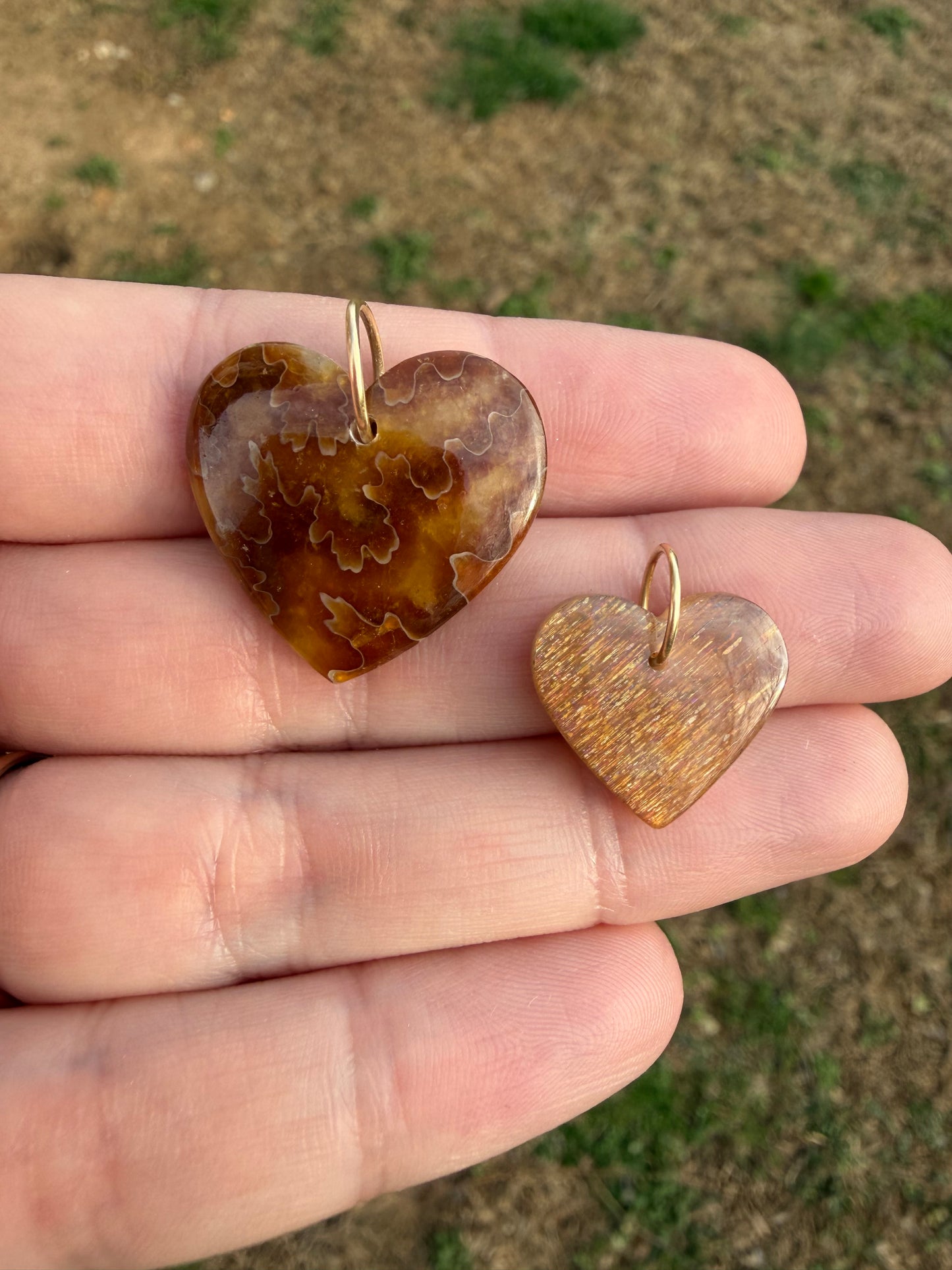 Robin - Rare Ancient Canadian Ammonite Fossil Heart Charm