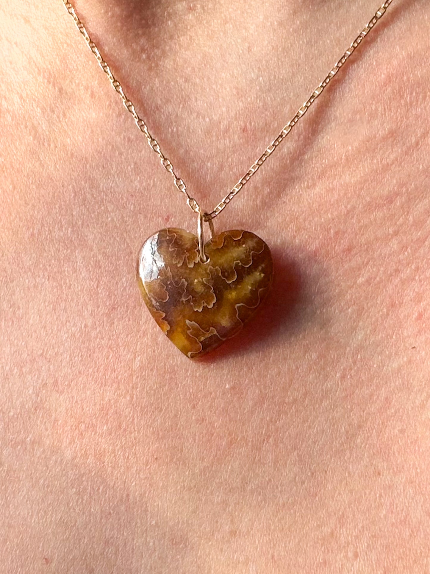 Robin - Rare Ancient Canadian Ammonite Fossil Heart Charm