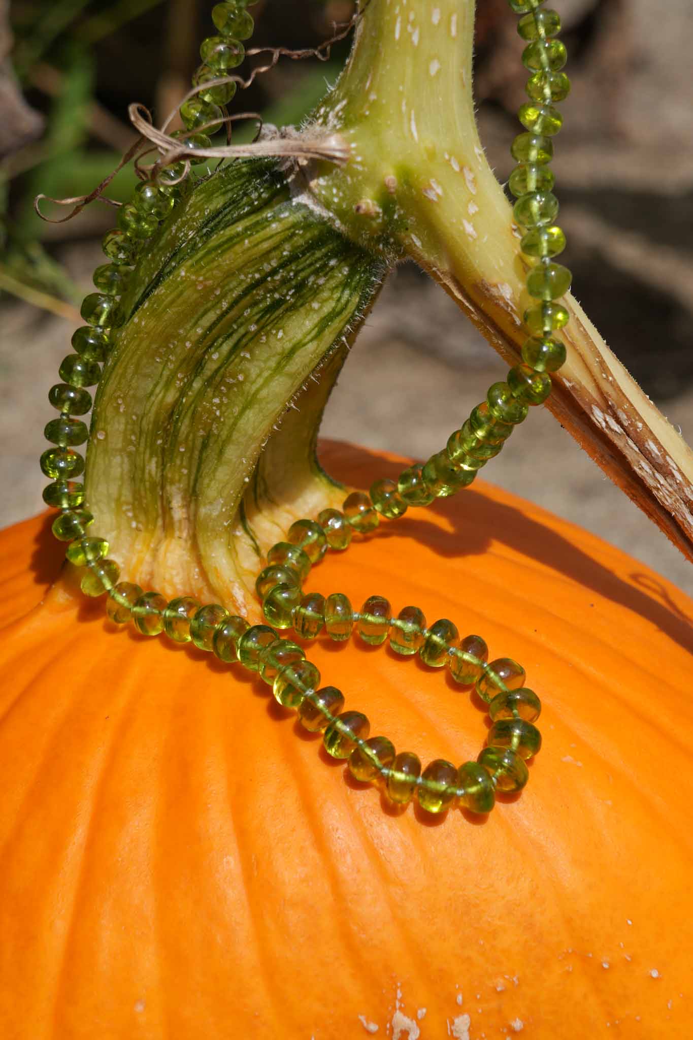 Green beaded necklace draped over a pumpkin with a blurred background