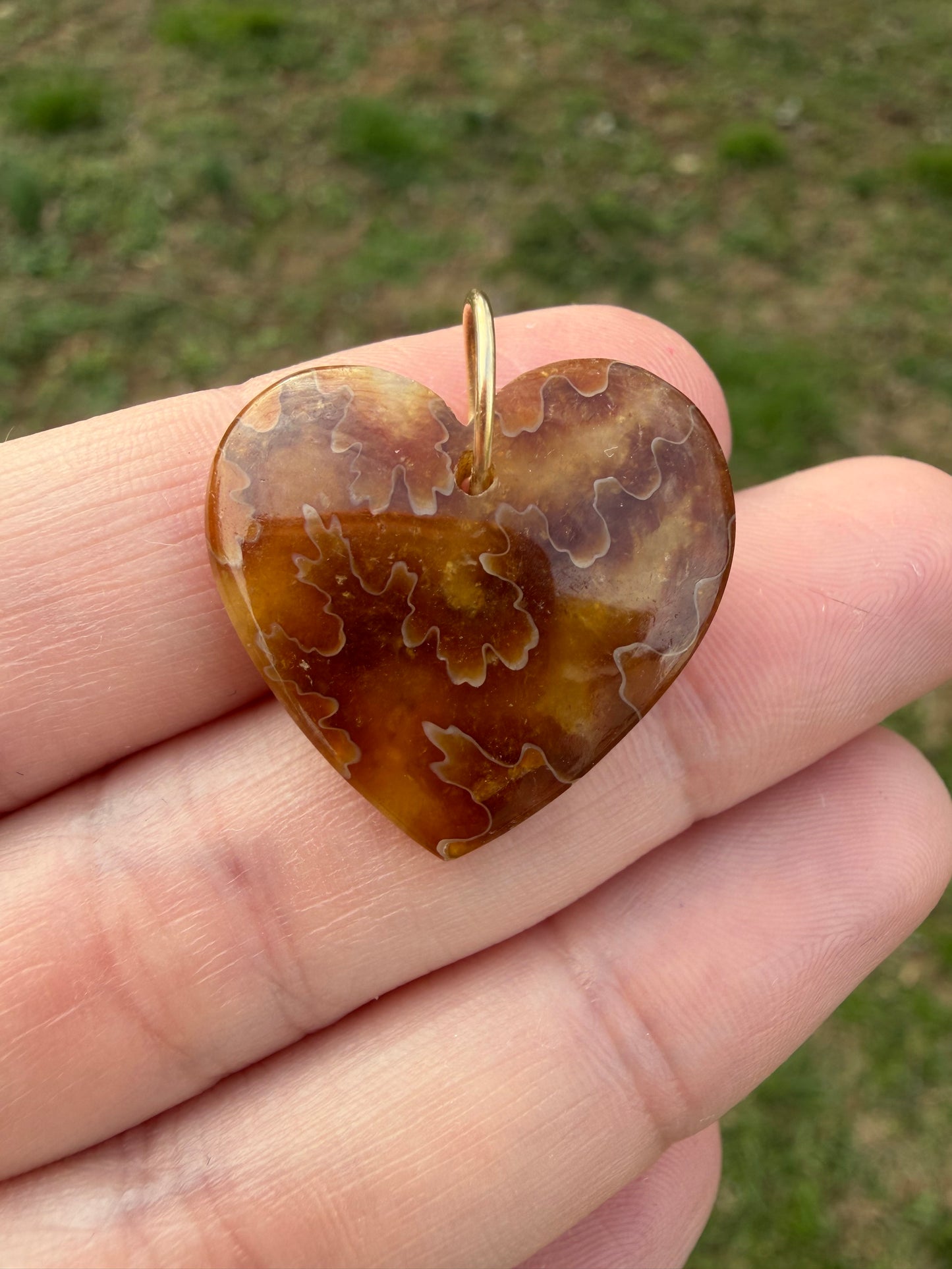 Robin - Rare Ancient Canadian Ammonite Fossil Heart Charm