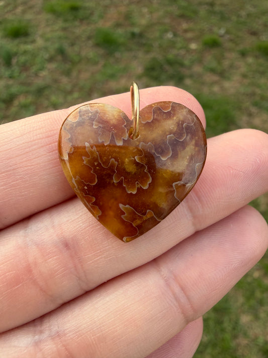 Robin - Rare Ancient Canadian Ammonite Fossil Heart Charm